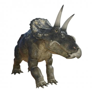 3D render dinozor Diceratops beyaz