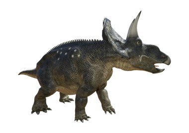 3D render dinozor Diceratops beyaz