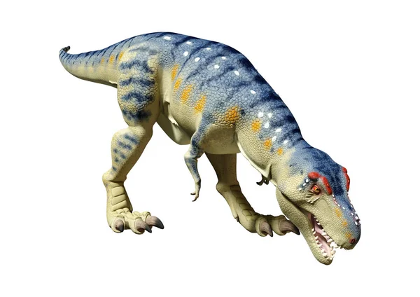 3D renderowania dinozaurów Tyrannosaurus na białym — Zdjęcie stockowe