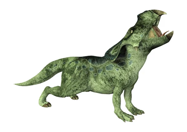 3D Rendering Dinosaur Protoceratops on White — Stock Photo, Image