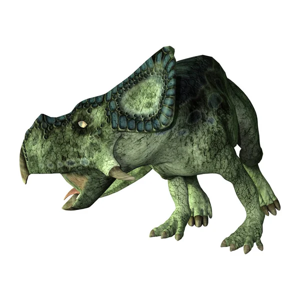 3D vykreslování dinosaura Protoceratops na bílém — Stock fotografie