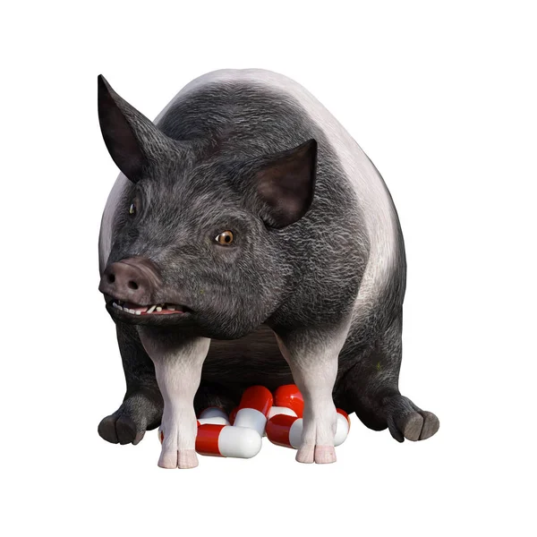 Redare 3D porc și pastile pe alb — Fotografie, imagine de stoc