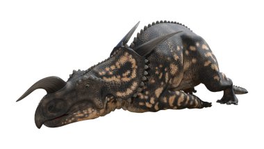 3D render dinozor Einiosaurus beyaz