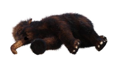 3D render bebek yünlü Mammoth beyaz
