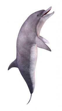 3D render yunus beyaz