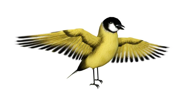 Representación 3D Songbird Goldflinch en blanco —  Fotos de Stock