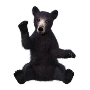 3D render siyah ayı yavrusu beyaz