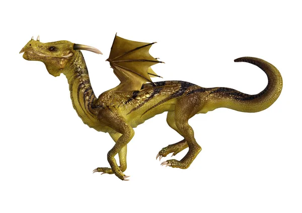 3D Rendering Fantasy Drache auf Weiß — Stockfoto