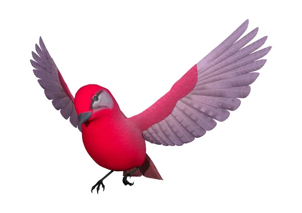 3D renderowania Songbird Tanager na białym — Zdjęcie stockowe