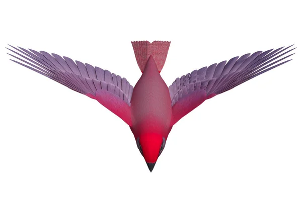 Tanager Songbird rendu 3D sur blanc — Photo