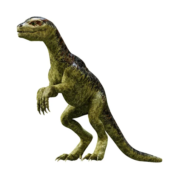 3 d レンダリング恐竜ティラノサウルス雛白 — ストック写真