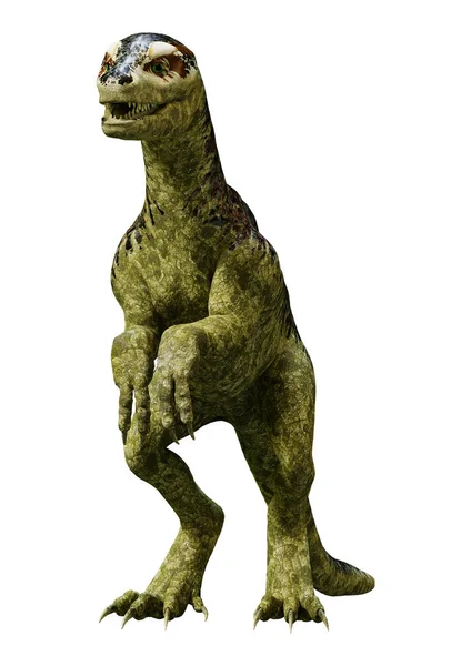 3D rendering dinoszaurusz Tyrannosaurus fióka-fehér — Stock Fotó