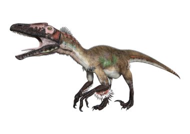 3D render dinozor Utahraptor beyaz