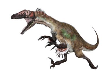 3D render dinozor Utahraptor beyaz