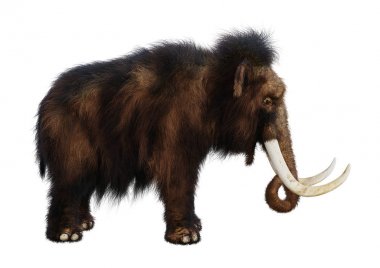 3D render yünlü mamut beyaz