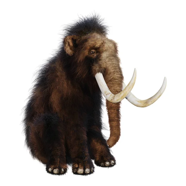 3D Rendering Mammut lanoso su bianco — Foto Stock