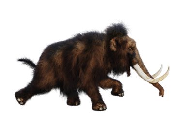 3D render yünlü mamut beyaz