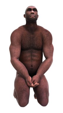 3D render Homo Erectus beyaz