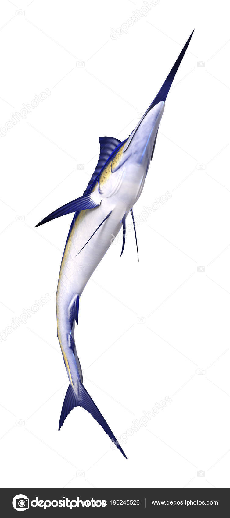 Fotos de Representación 3D Marlin Fish en blanco - Imagen de
