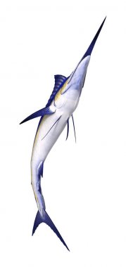 3D render Marlin balığı beyaz