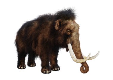 3D render yünlü mamut beyaz