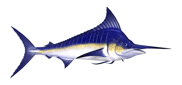 3D rendering Marlin hal-fehér — Stock Fotó