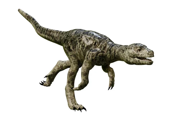 3D rendering dinoszaurusz Tyrannosaurus fióka-fehér — Stock Fotó