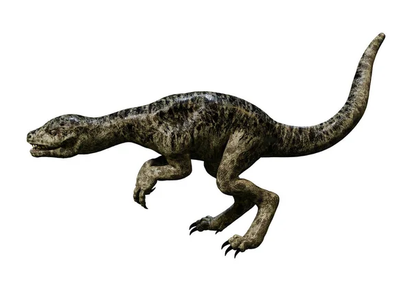 3D render dinozor Tyrannosaurus civciv beyaz — Stok fotoğraf