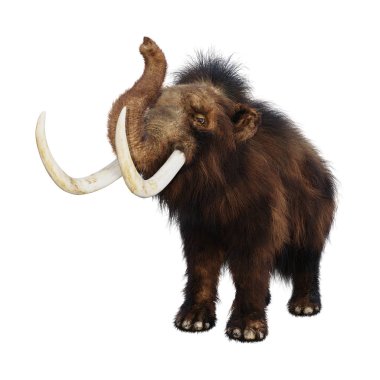 3D Rendering Woolly Mammoth on White clipart