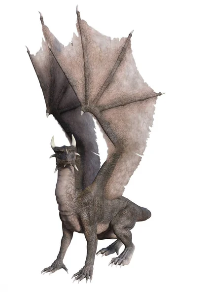 3D renderização dragão conto de fadas no branco — Fotografia de Stock