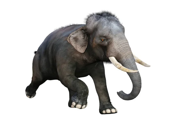 3D-рендеринг индийского слона на белом — стоковое фото