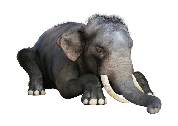 3D-рендеринг индийского слона на белом — стоковое фото