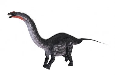 3D render dinozor Apatosaurus beyaz