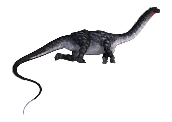 3D rendering dinosaurus Apatosaurus op wit — Stockfoto