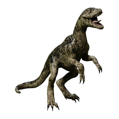 3D render dinozor Tyrannosaurus civciv beyaz