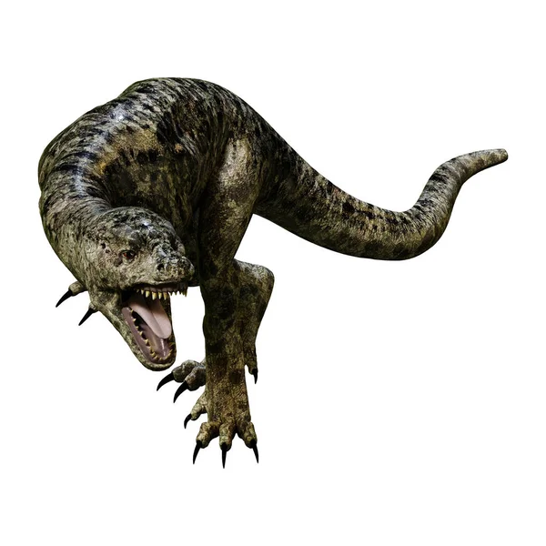 3D rendering δεινόσαυρος Tyrannosaurus Κλωσσόπουλο σε λευκό — Φωτογραφία Αρχείου