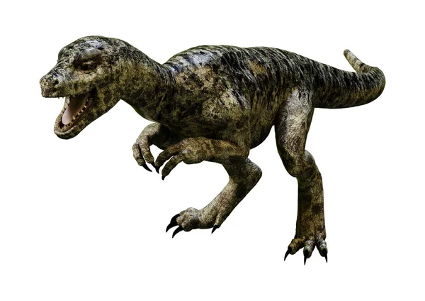 3D rendering δεινόσαυρος Tyrannosaurus Κλωσσόπουλο σε λευκό — Φωτογραφία Αρχείου