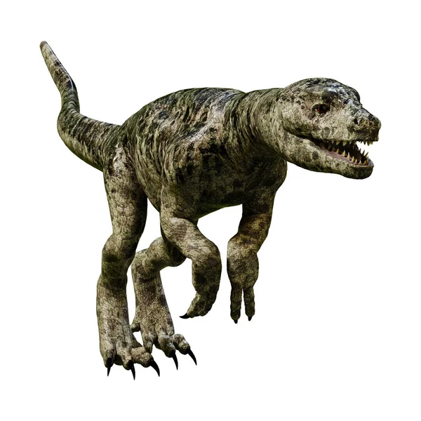 3D render dinozor Tyrannosaurus civciv beyaz — Stok fotoğraf