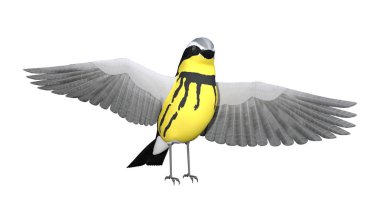 3D render Songbird Wrabler beyaz
