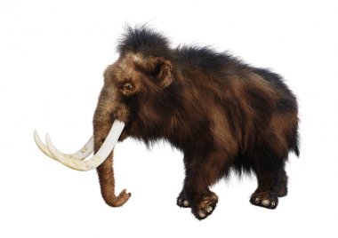 3D render yünlü mamut beyaz