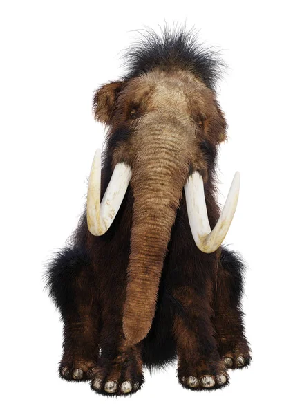 3D rendering gyapjas mamut, fehér — Stock Fotó