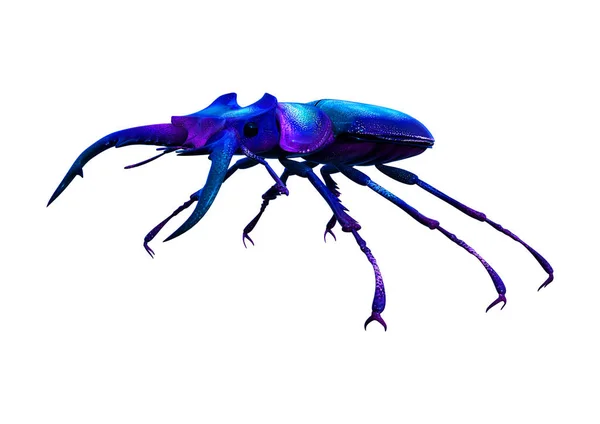 Escaravelho de estaca de renderização 3D em branco — Fotografia de Stock