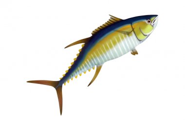 3D Rendering Yellowfin Tuna on White clipart