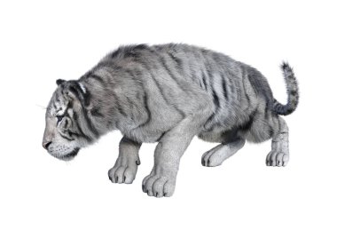 3D beyaz beyaz kaplan oluşturma