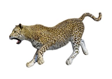 3D render büyük kedi Leopard üzerinde beyaz