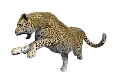 3D render büyük kedi Leopard üzerinde beyaz