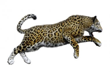 3D render büyük kedi Jaguar beyaz