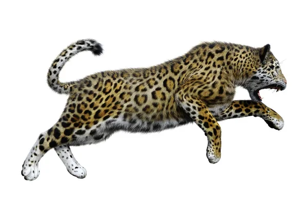 3D rendering Jaguar μεγάλη γάτα σε λευκό — Φωτογραφία Αρχείου