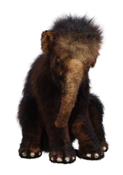 3D renderização Woolly Mammoth bebê em branco — Fotografia de Stock