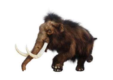 3D render yünlü mamut beyaz